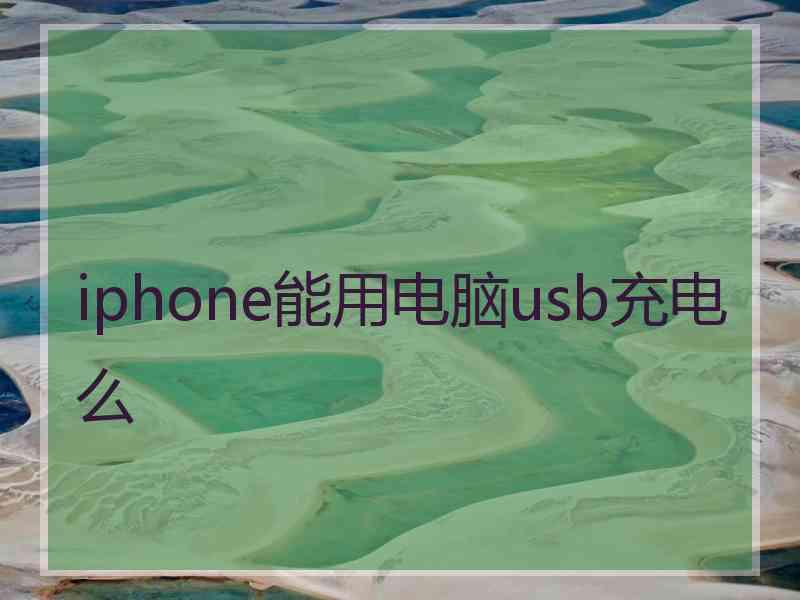 iphone能用电脑usb充电么