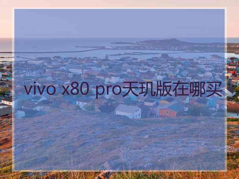 vivo x80 pro天玑版在哪买