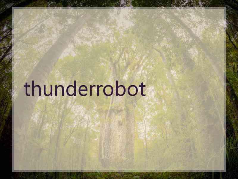 thunderrobot