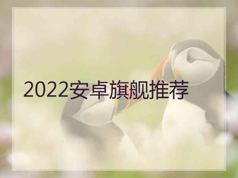 2022安卓旗舰推荐