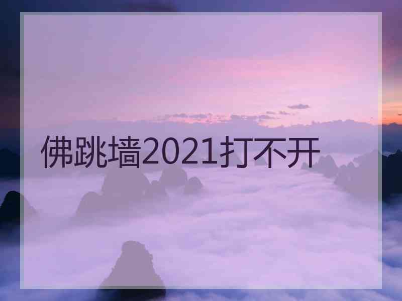 佛跳墙2021打不开