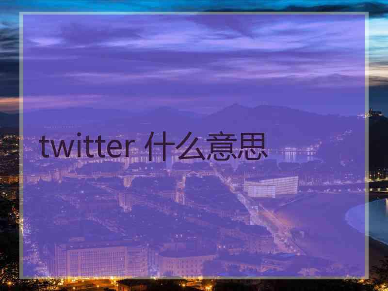 twitter 什么意思