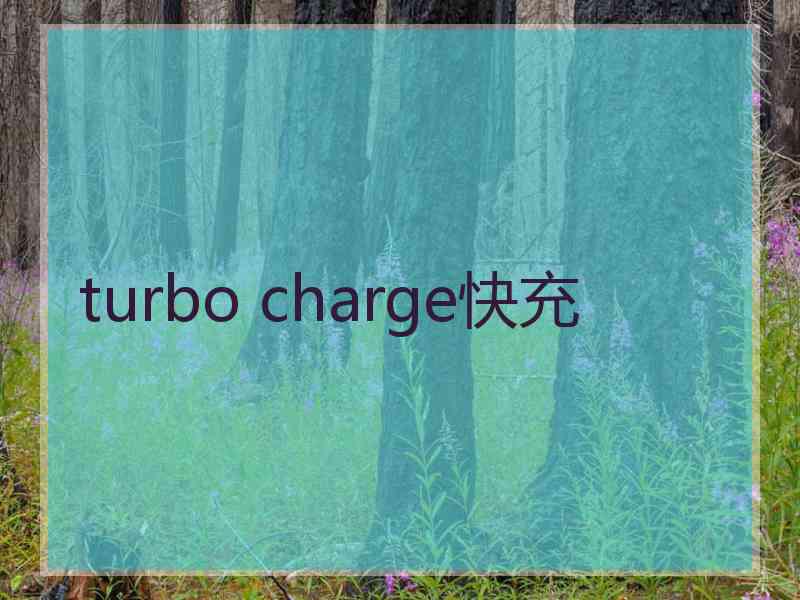 turbo charge快充