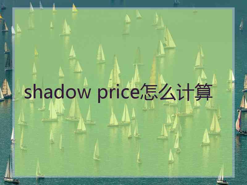 shadow price怎么计算