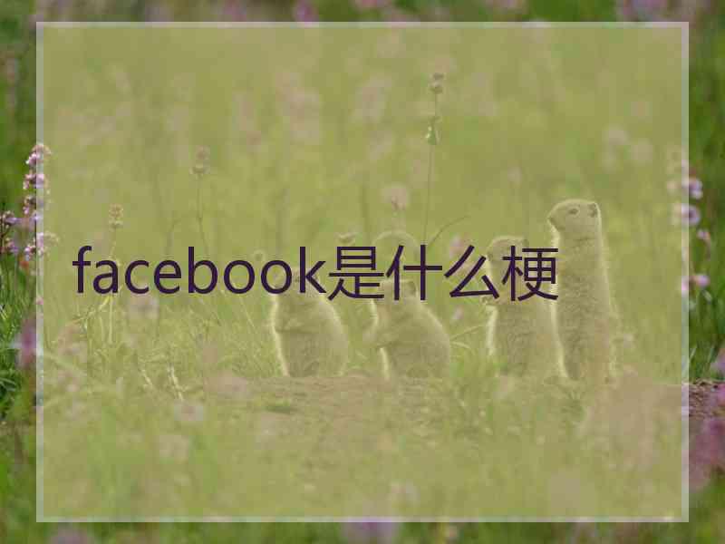 facebook是什么梗