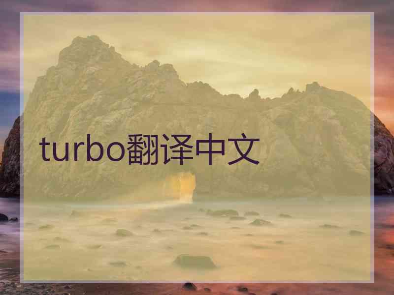 turbo翻译中文