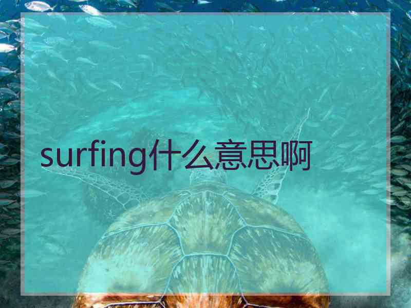 surfing什么意思啊