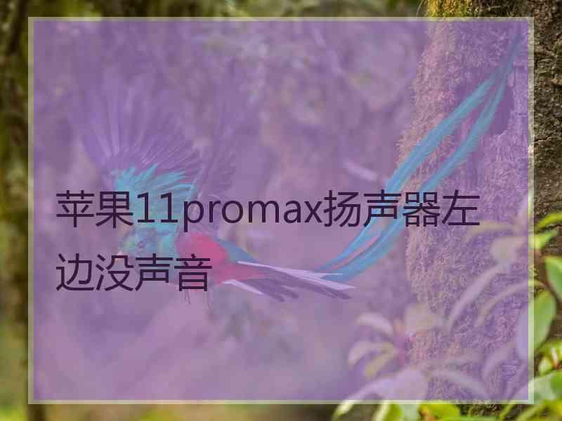 苹果11promax扬声器左边没声音