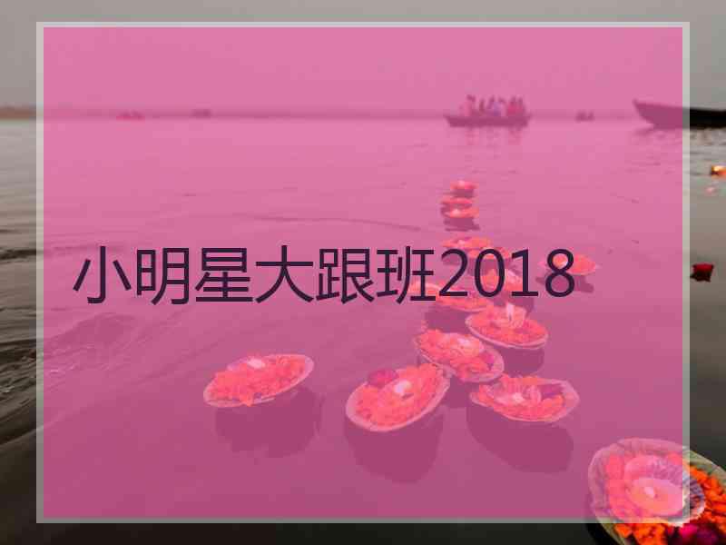 小明星大跟班2018