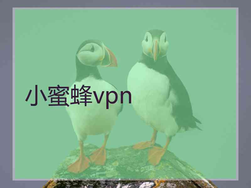 小蜜蜂vpn