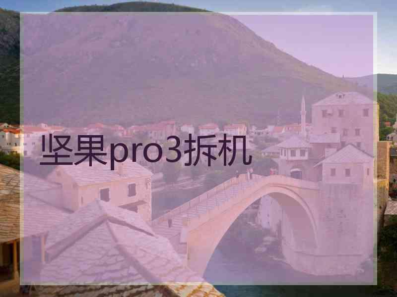 坚果pro3拆机