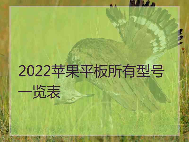 2022苹果平板所有型号一览表