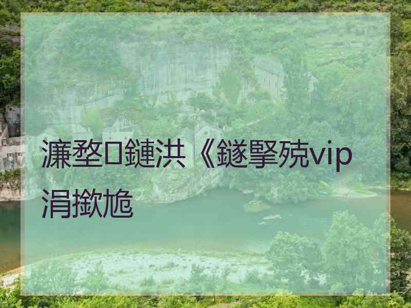 濂堥鏈洪《鐩掔殑vip涓撳尯