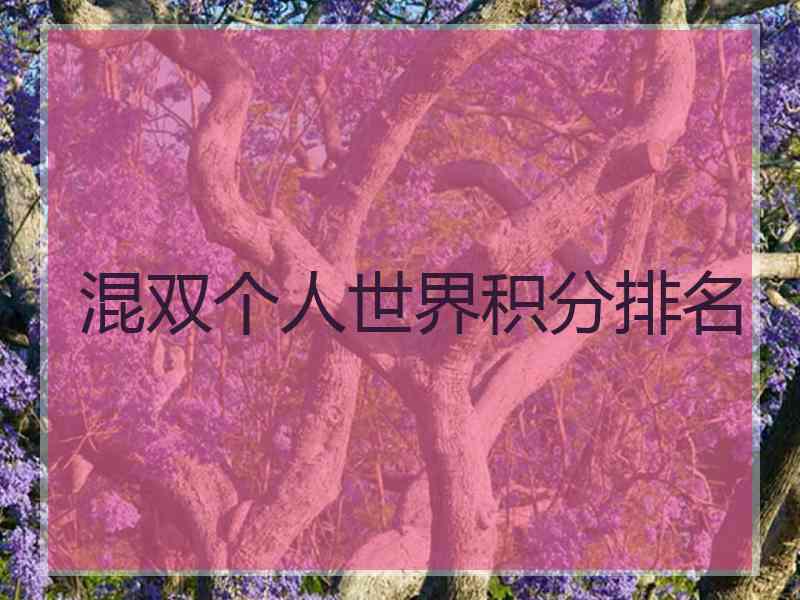 混双个人世界积分排名