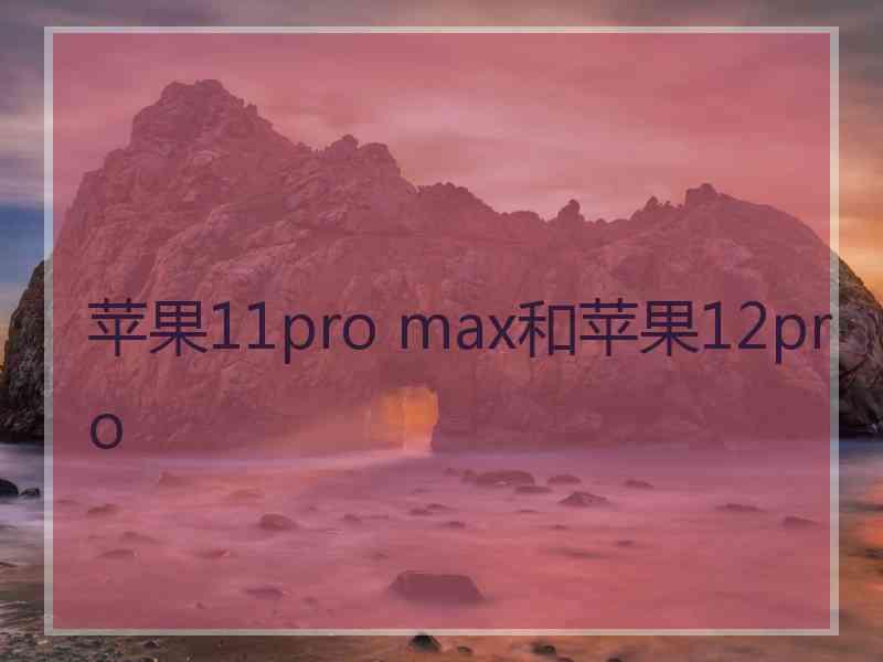 苹果11pro max和苹果12pro