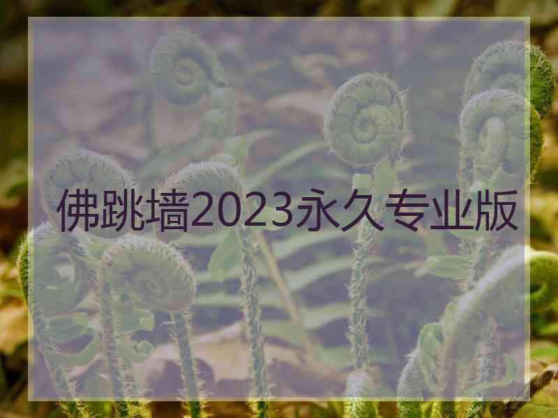 佛跳墙2023永久专业版