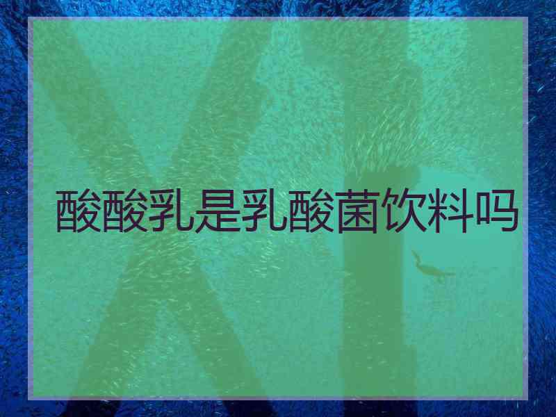 酸酸乳是乳酸菌饮料吗