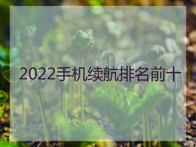 2022手机续航排名前十