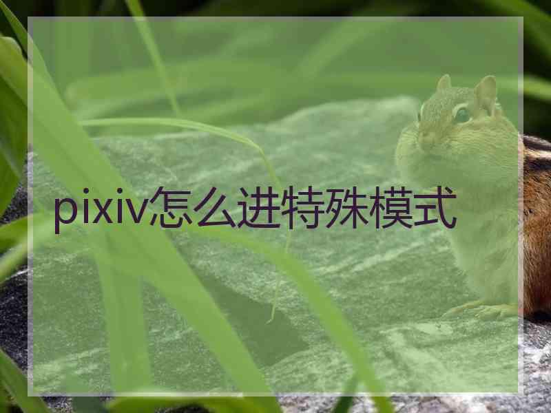 pixiv怎么进特殊模式