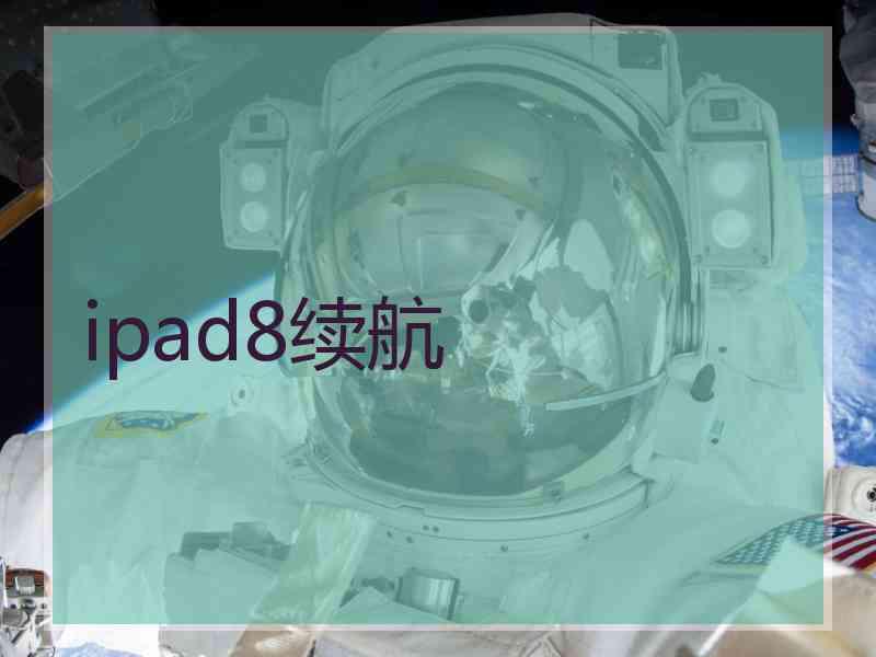 ipad8续航