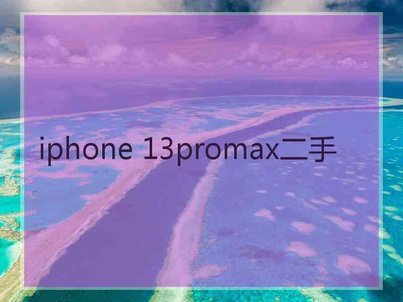 iphone 13promax二手