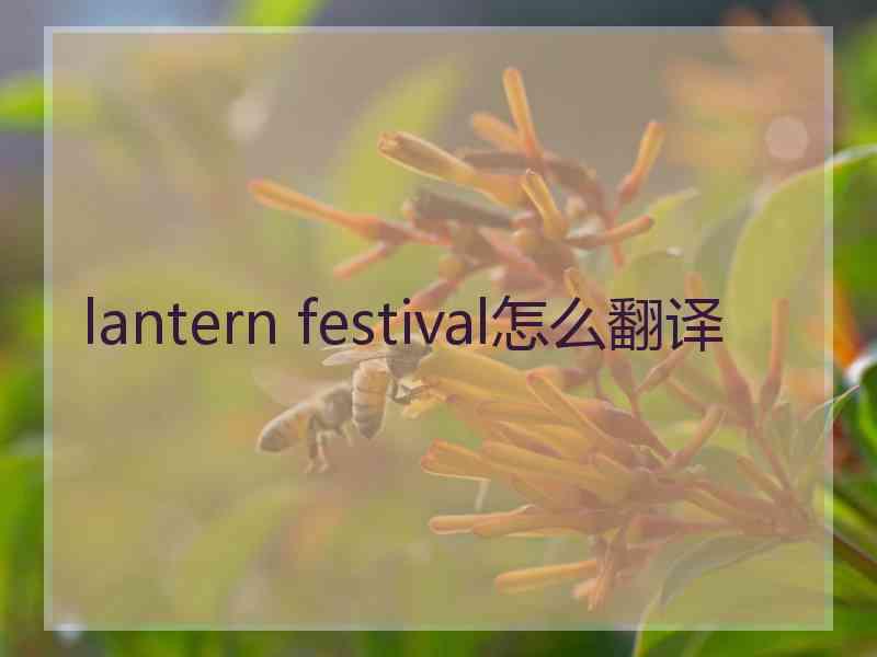 lantern festival怎么翻译