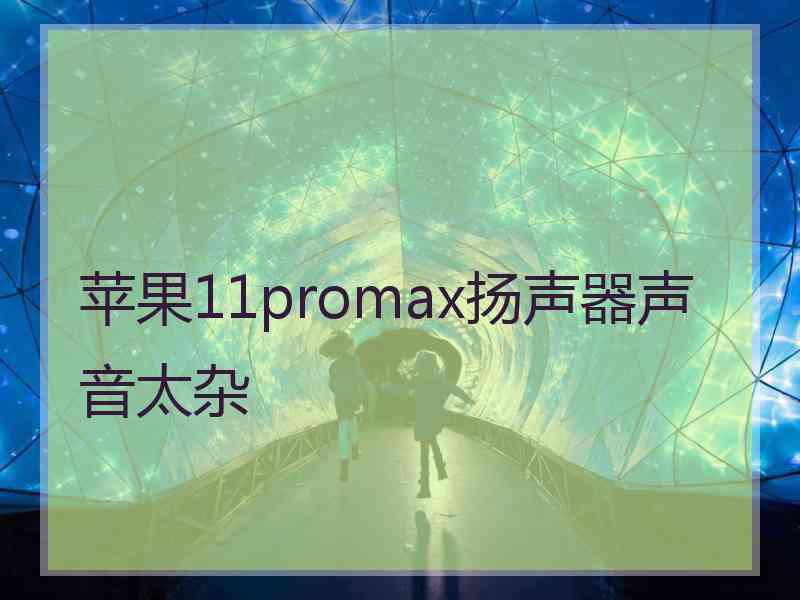 苹果11promax扬声器声音太杂