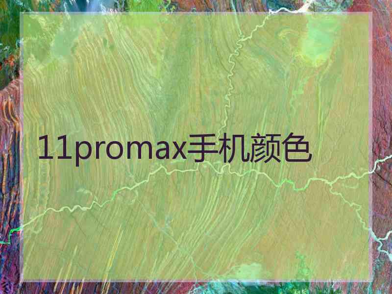 11promax手机颜色