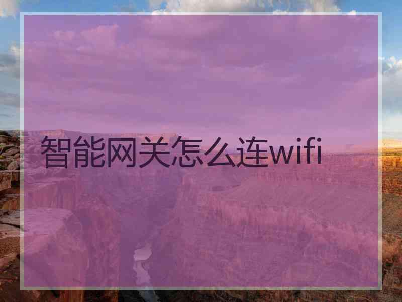 智能网关怎么连wifi