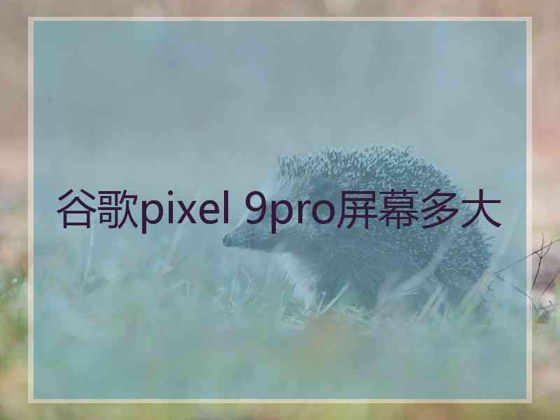 谷歌pixel 9pro屏幕多大