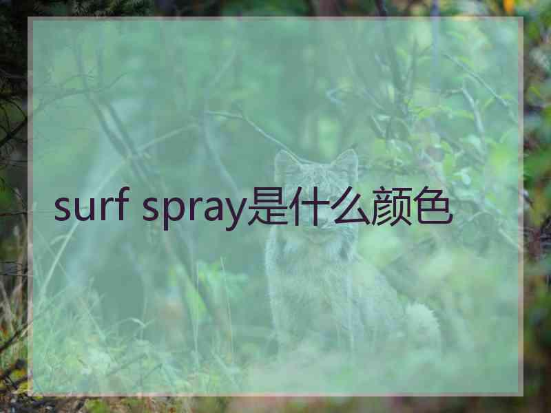 surf spray是什么颜色