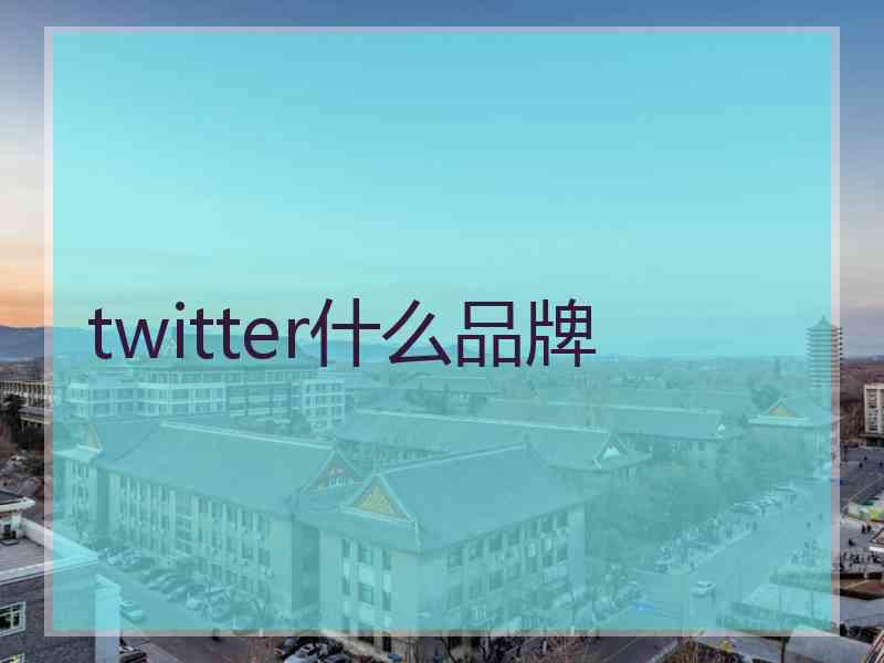 twitter什么品牌