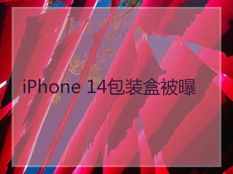 iPhone 14包装盒被曝