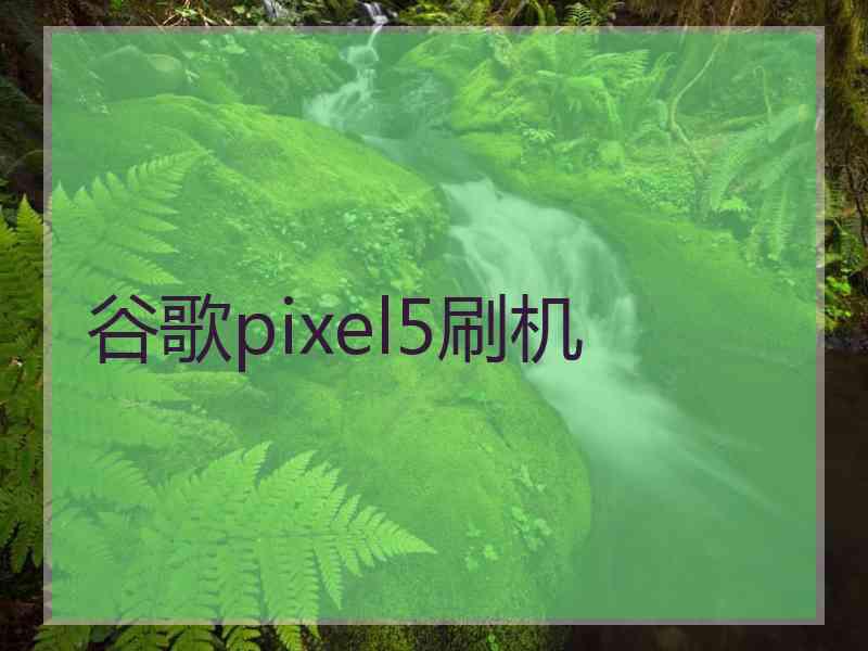 谷歌pixel5刷机