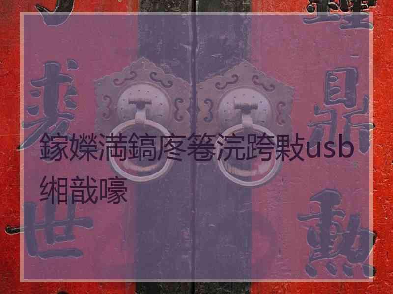 鎵嬫満鎬庝箞浣跨敤usb缃戠嚎