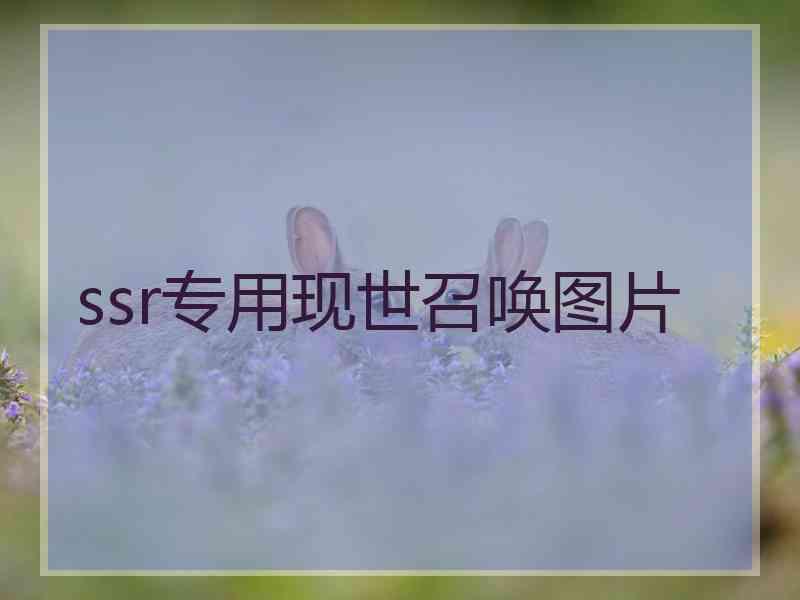 ssr专用现世召唤图片