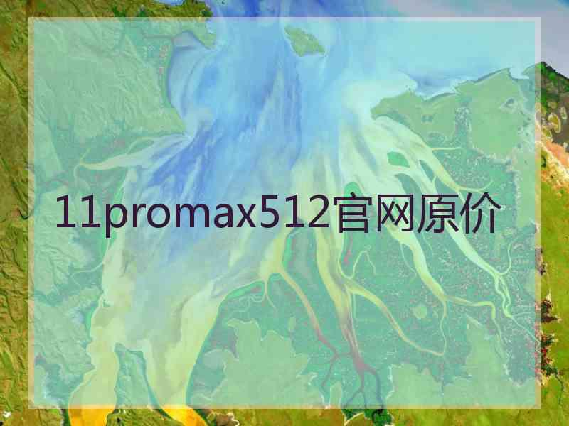 11promax512官网原价