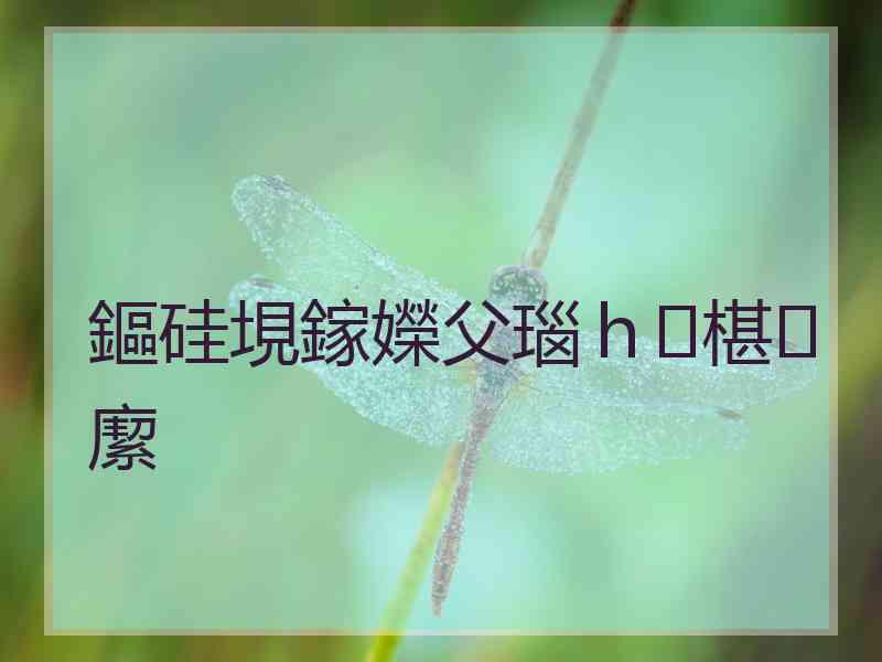 鏂硅垷鎵嬫父瑙ｈ椹緳