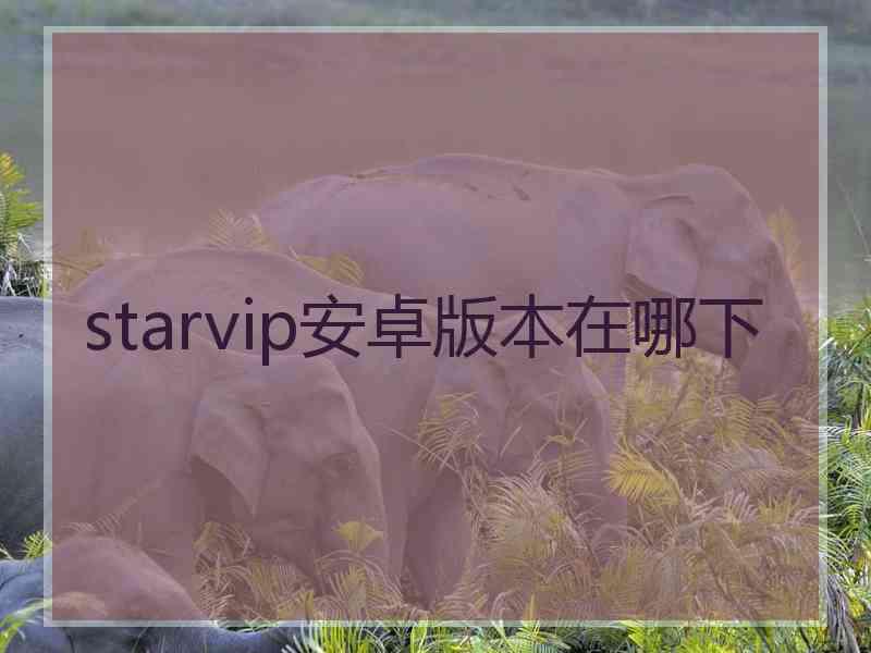 starvip安卓版本在哪下