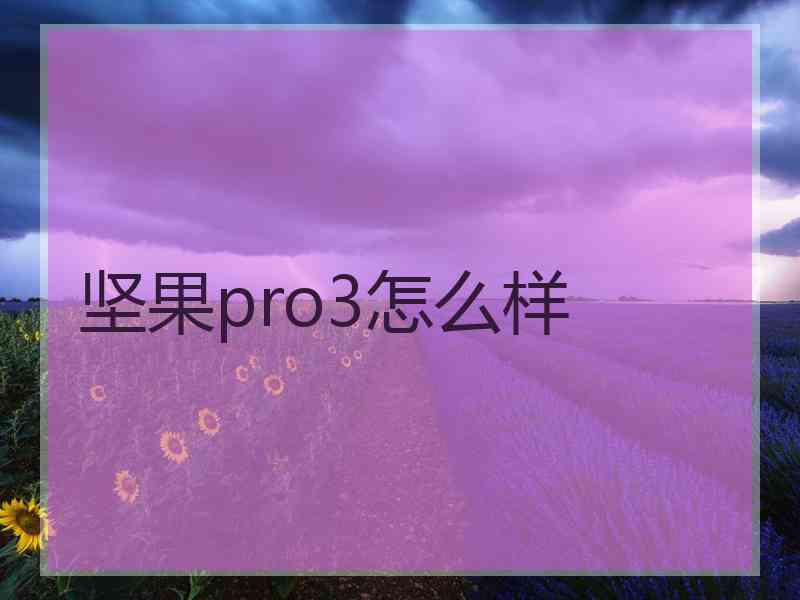 坚果pro3怎么样