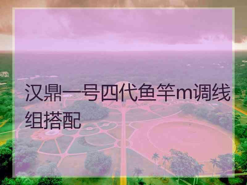 汉鼎一号四代鱼竿m调线组搭配