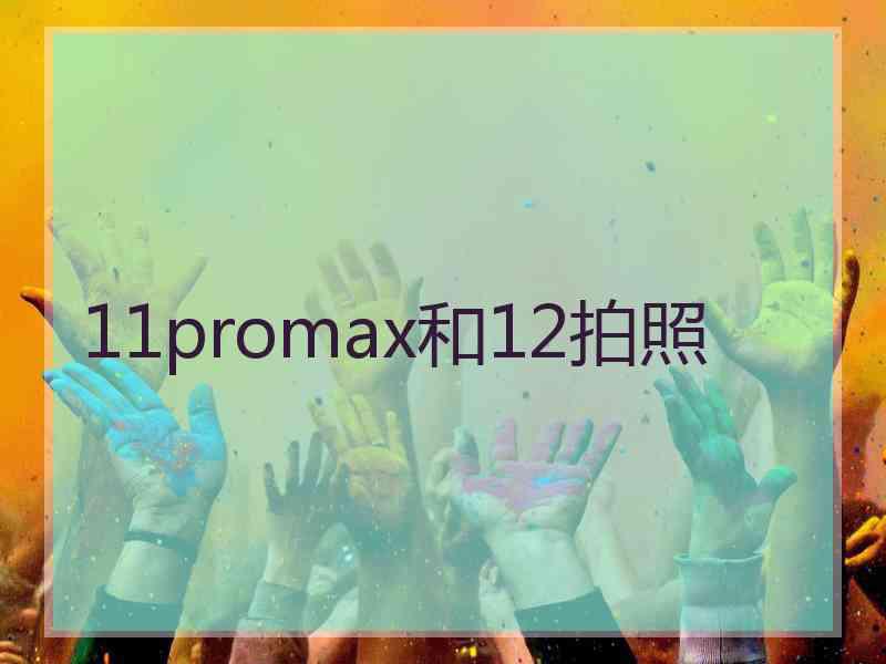 11promax和12拍照