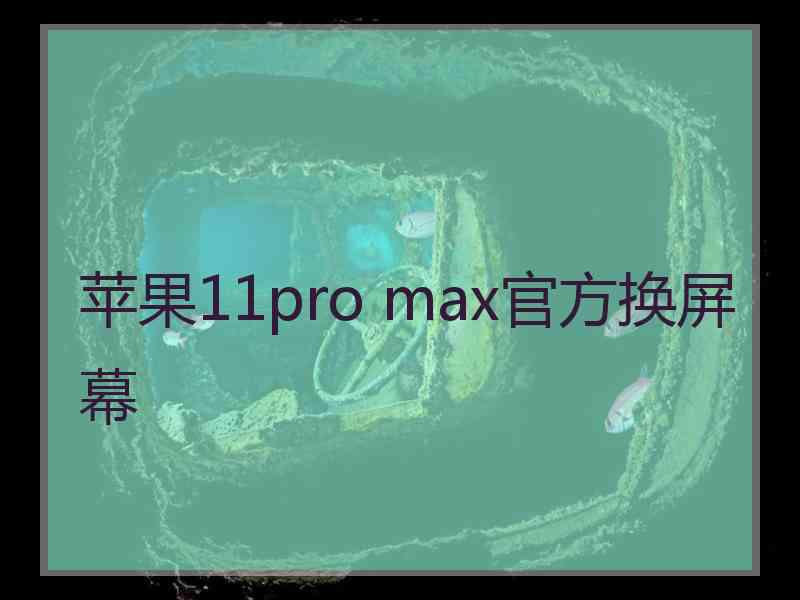 苹果11pro max官方换屏幕