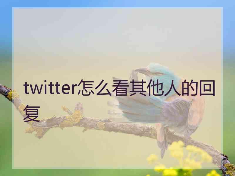 twitter怎么看其他人的回复