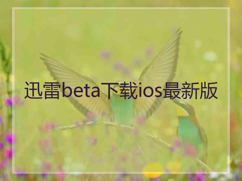 迅雷beta下载ios最新版