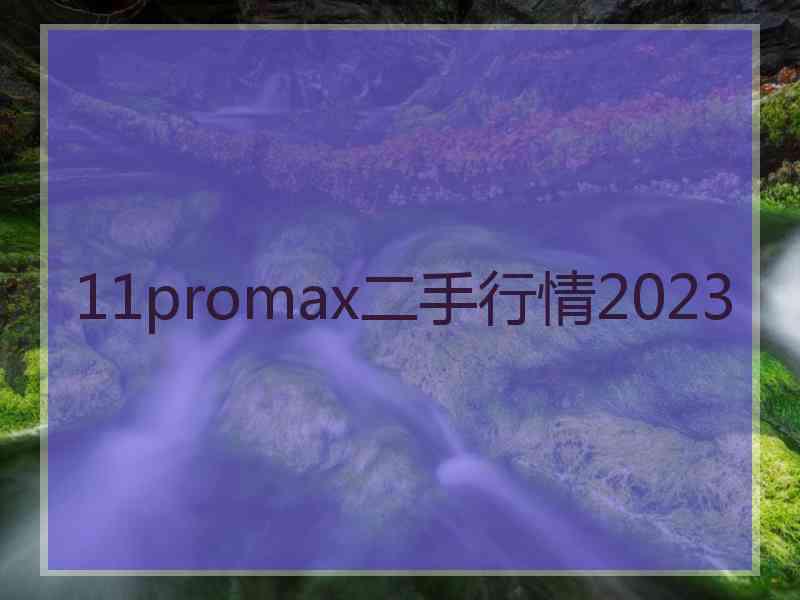 11promax二手行情2023