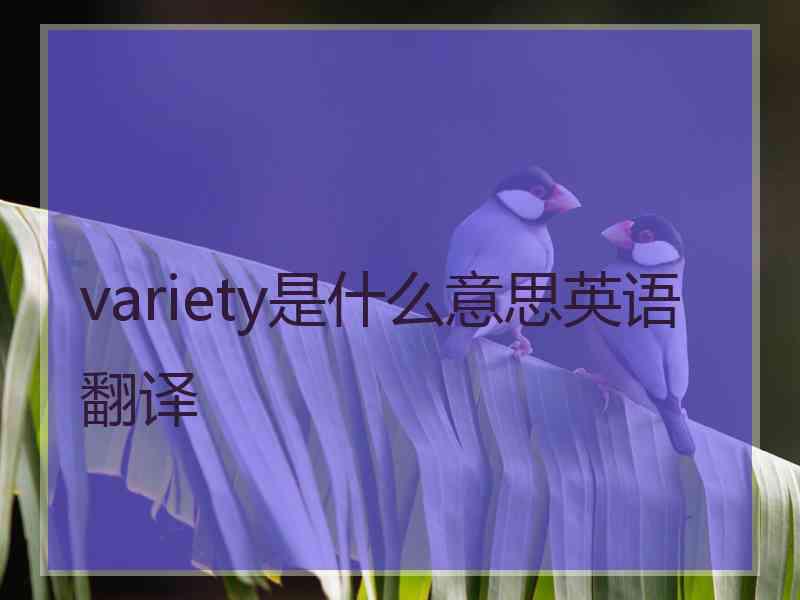 variety是什么意思英语翻译