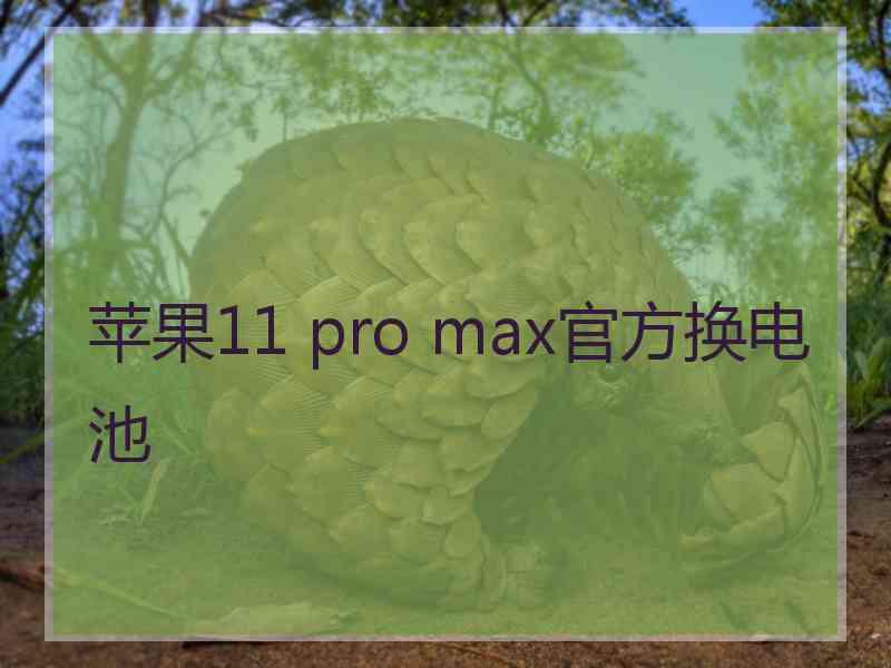 苹果11 pro max官方换电池