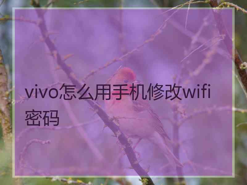 vivo怎么用手机修改wifi密码