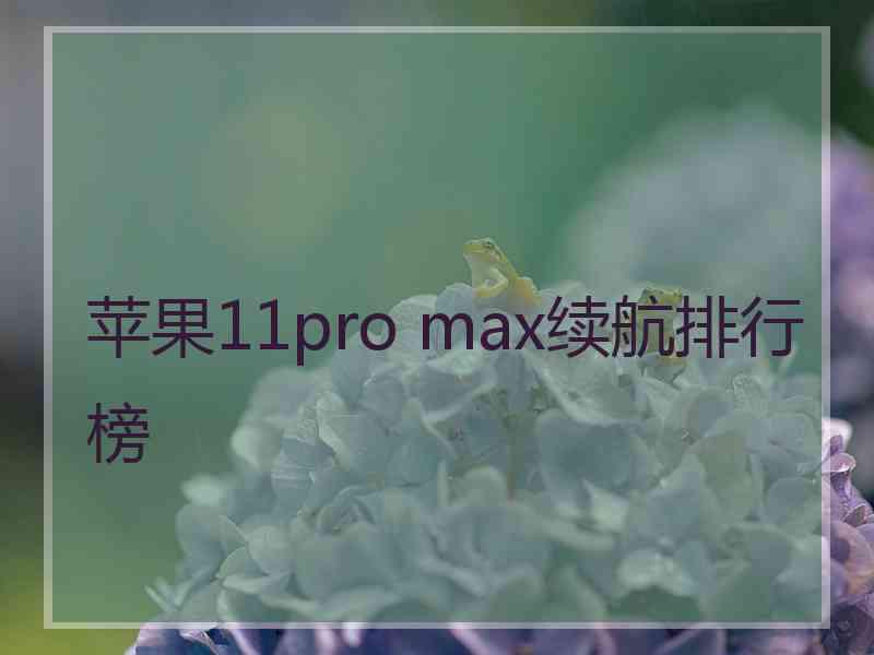 苹果11pro max续航排行榜